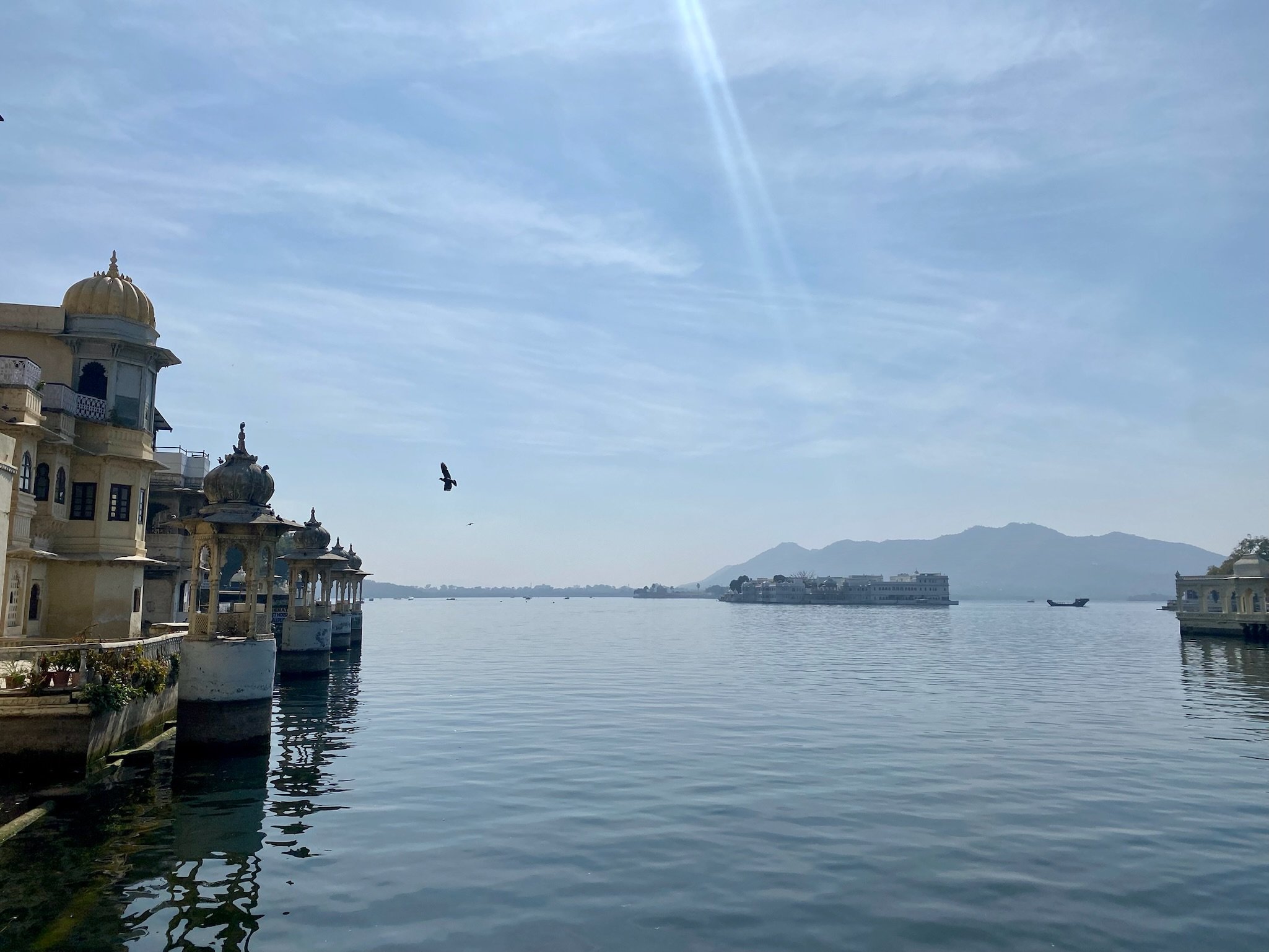 IMG_1947.jpeg