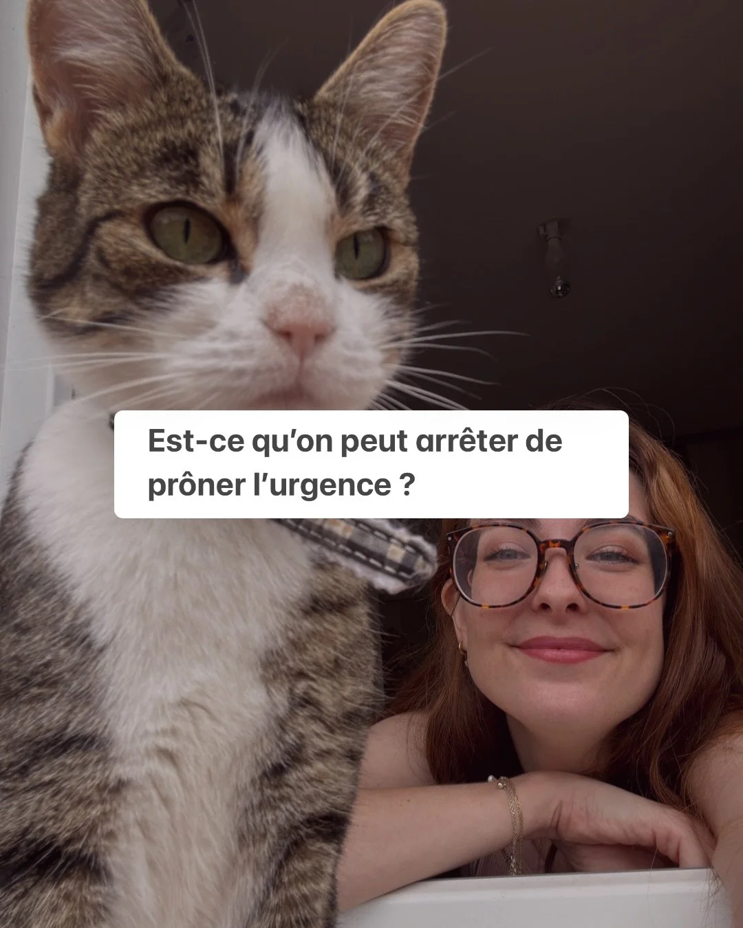Vive les r&eacute;flexions pendant les siestes de Lardon 😂&nbsp;

Cela dit c&rsquo;est une vraie question : &agrave; quel point la course &agrave; la vitesse est vraiment une bonne id&eacute;e ? Et est-ce qu&rsquo;on sacrifie pas un peu le pr&eacute