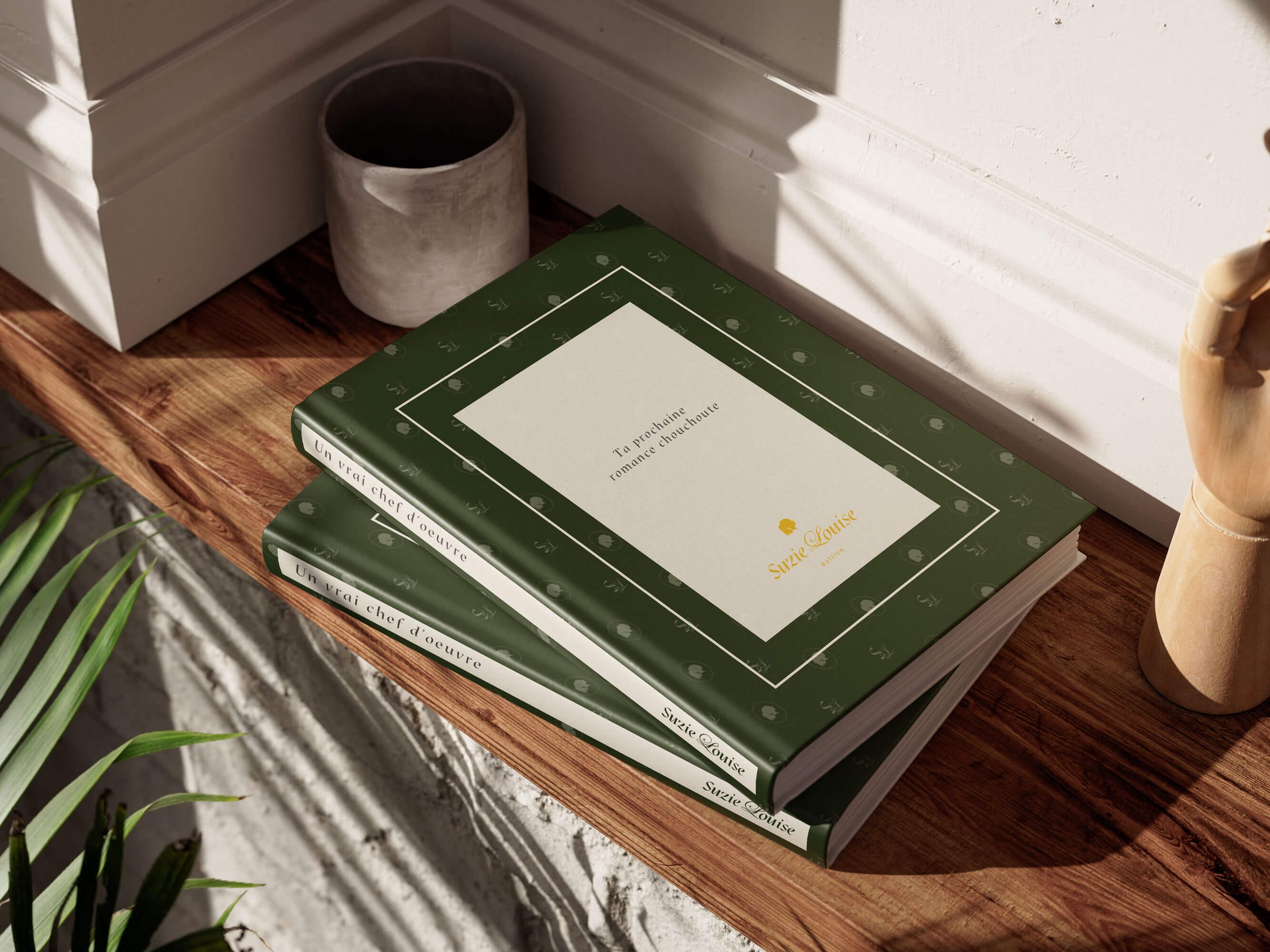 Identité visuelle petit budget - Suzie Louise - Livres