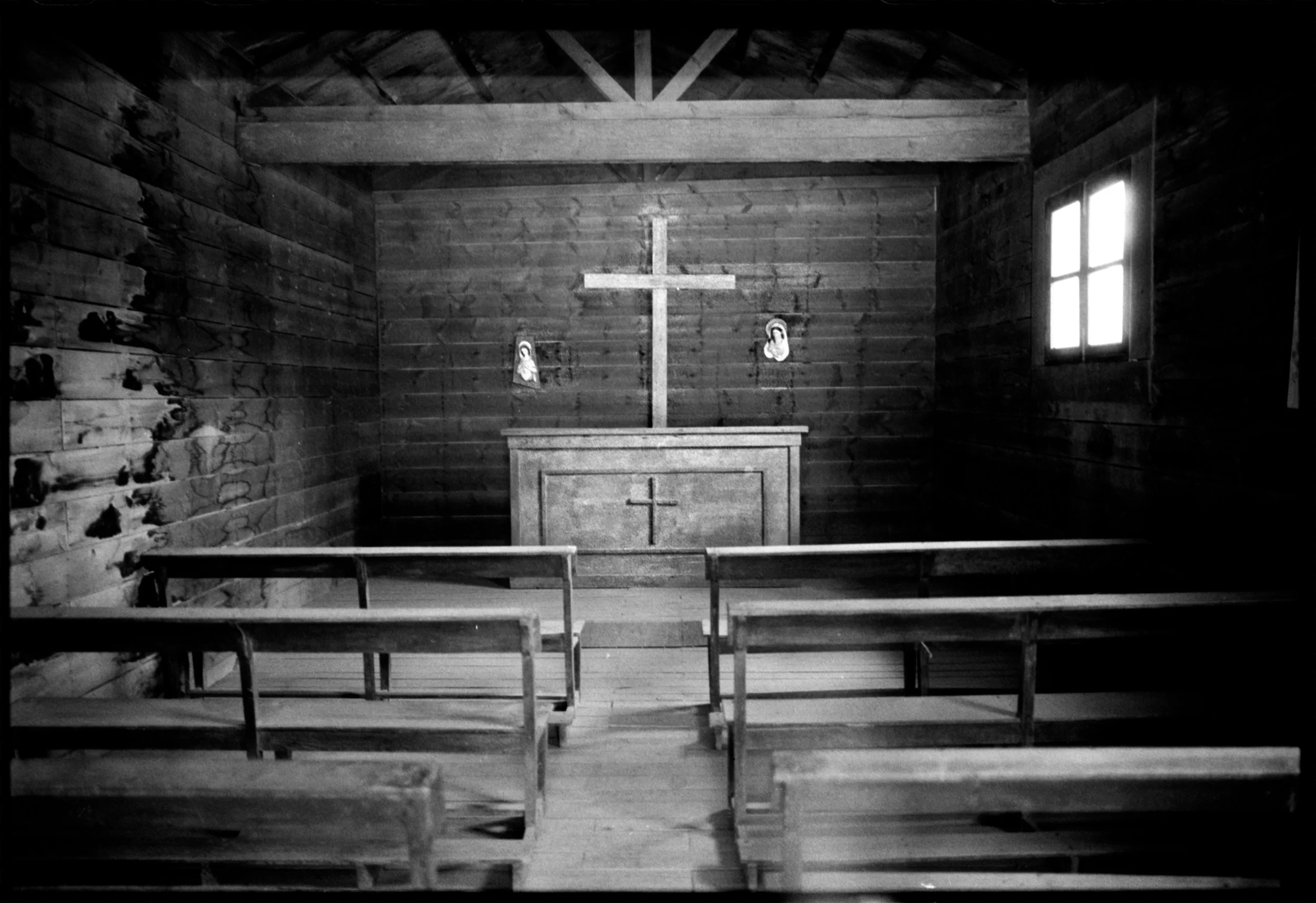 wild21.jpg