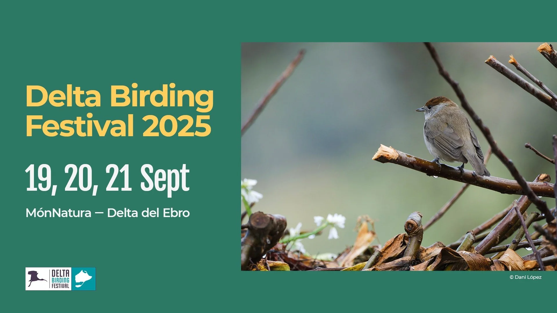 Delta Birding Festival 2025
