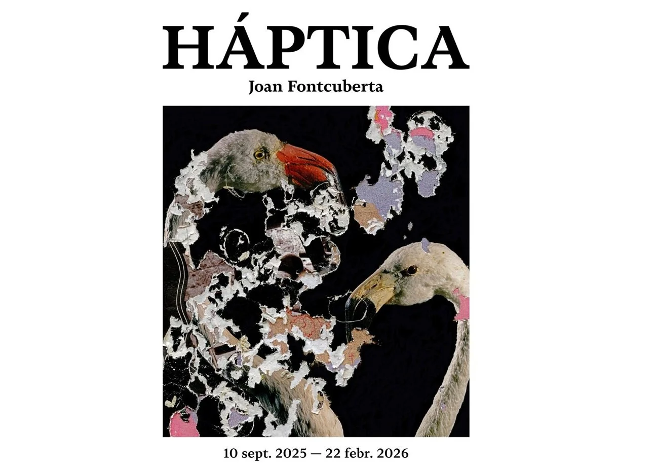Exposición “Háptica”, de Joan Fontcuberta