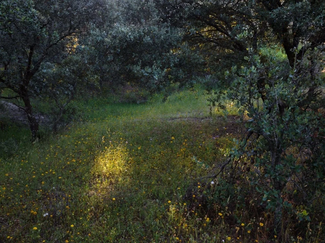 Presentación libro «Topofilia» de Angélica de la Llave