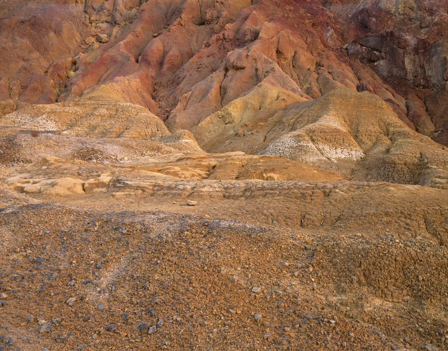 Exposición “La Tierra Baldía” de Fernando Puche