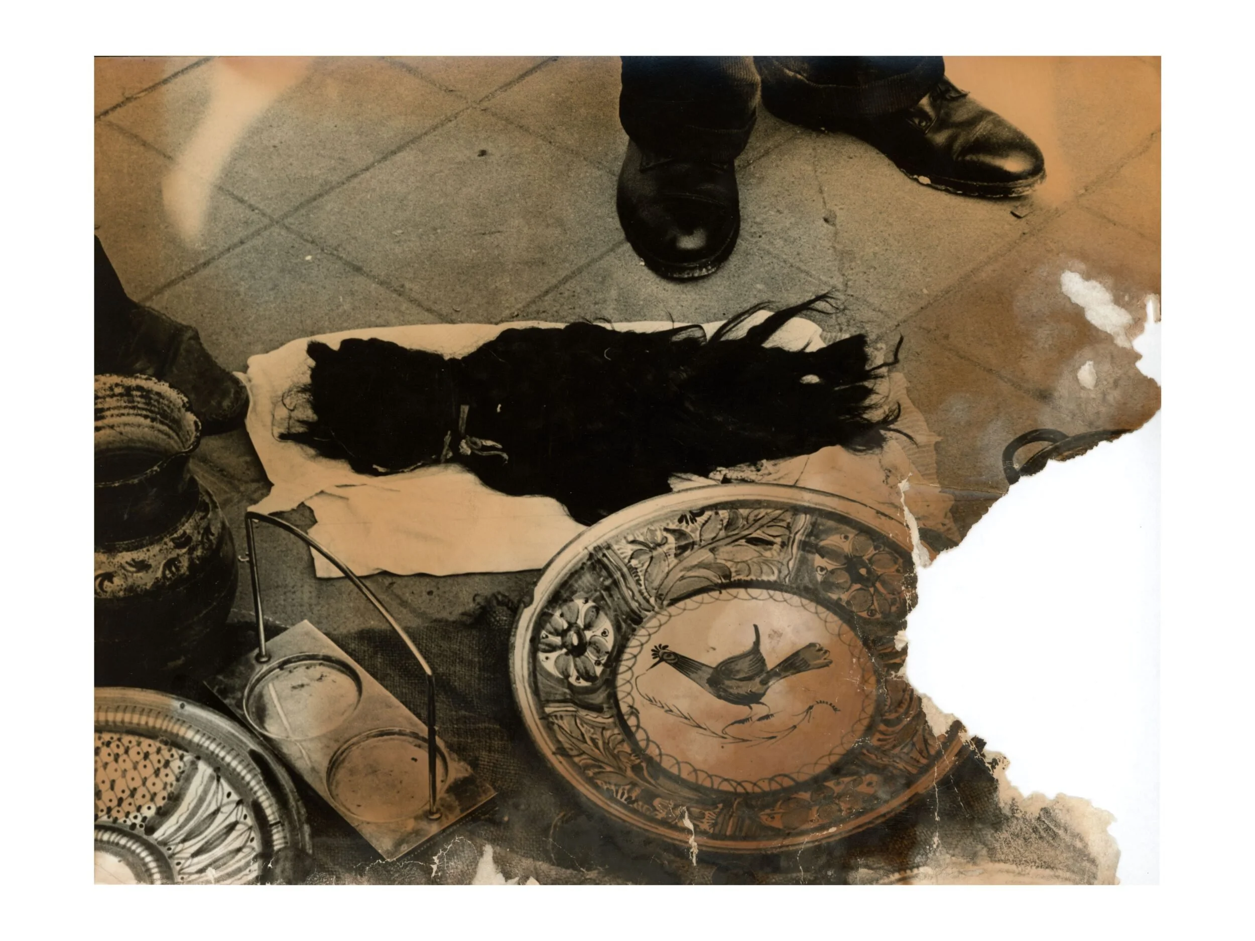 Exposición "Inexorable”, de Colita