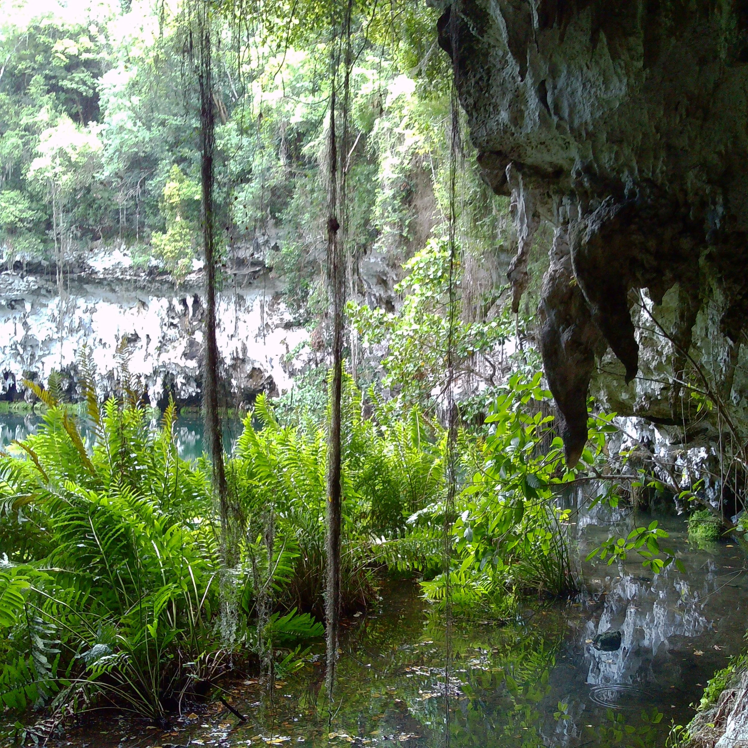 Disparafilm 202511- Aspecto de la cámara fotográfica, un factor psicológico 22.jpg