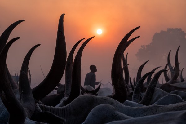 Exposición “One Health” de Katy Gómez Catalina