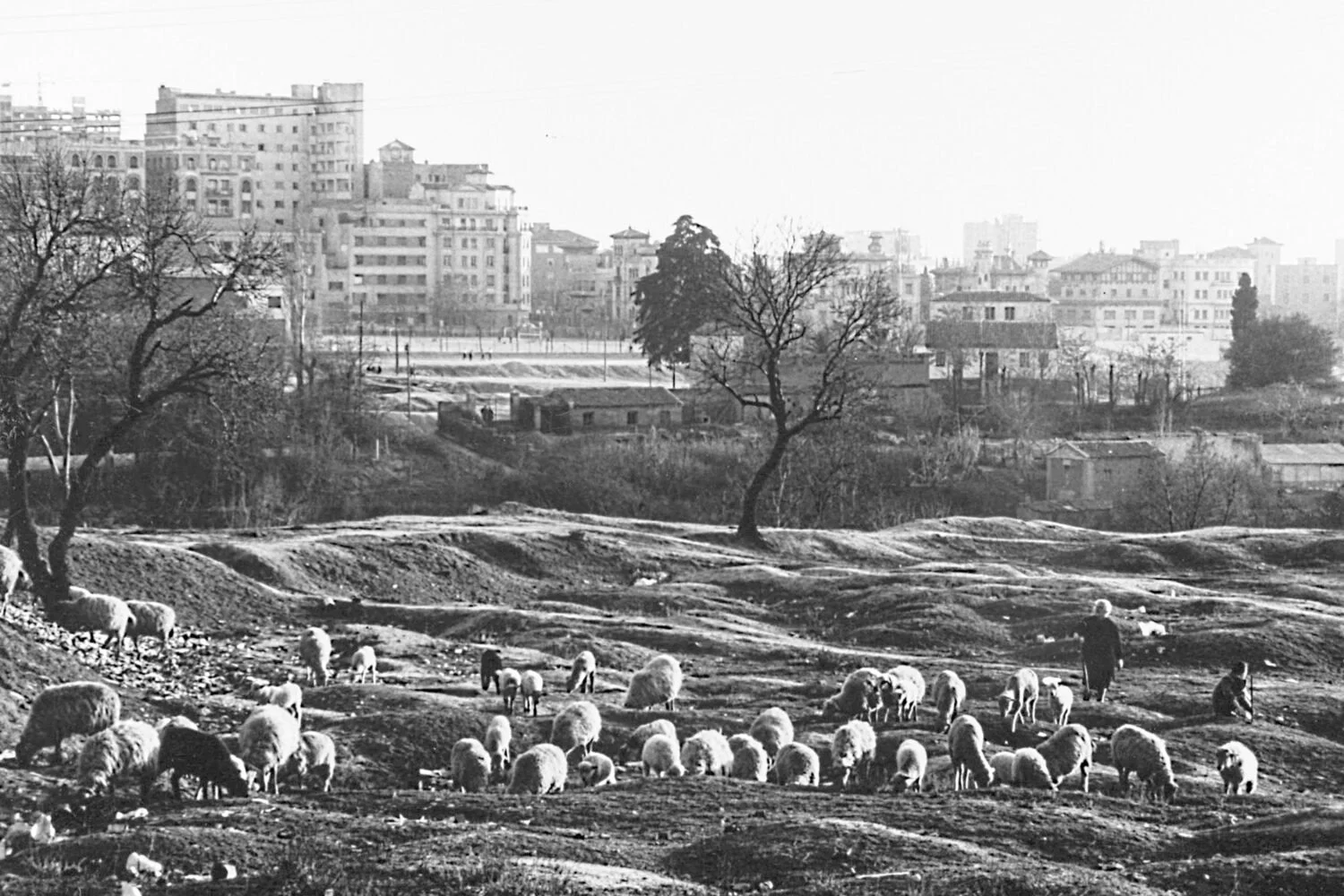 Exposición “José Luis Berzal, el fotógrafo de recuerdos. La memoria del barrio y la Dehesa de la Villa”