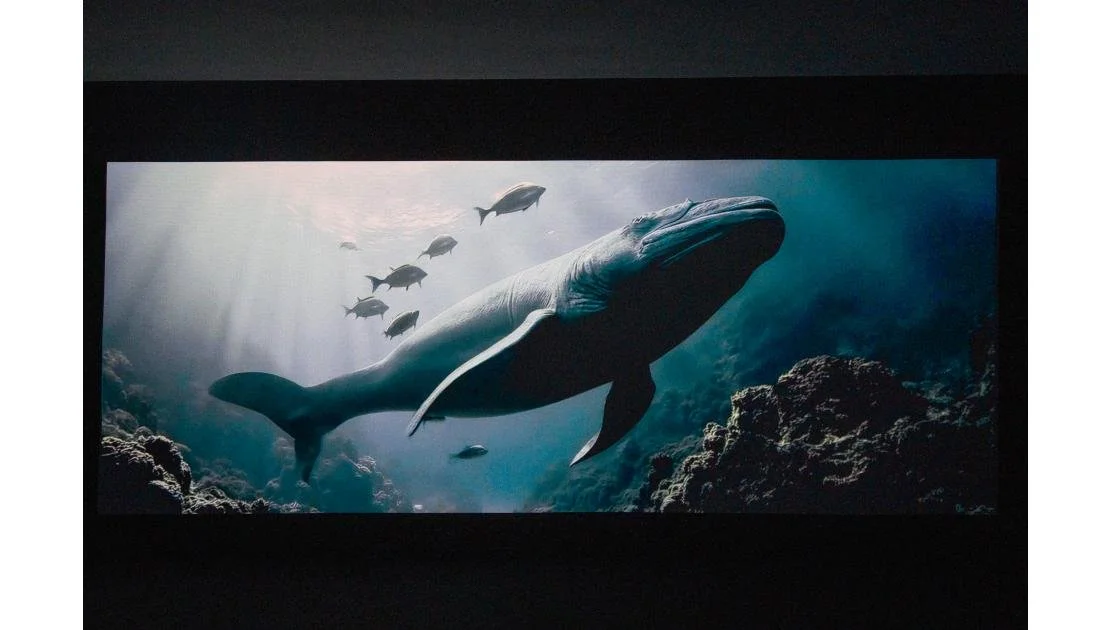 Exposición “Percepción e incertidumbre”