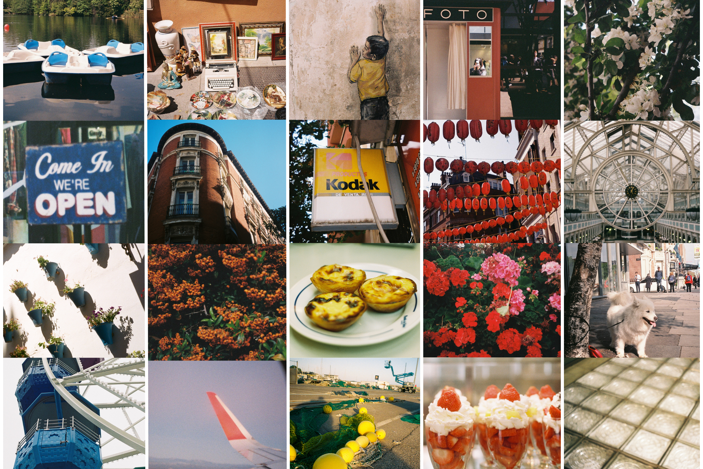 Color hunting: en búsqueda del color