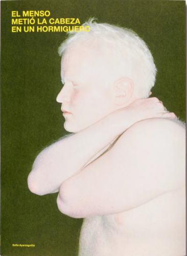 Presentación del libro ‘El menso metió la cabeza en un hormiguero’, de Sofia Ayarzagoitia