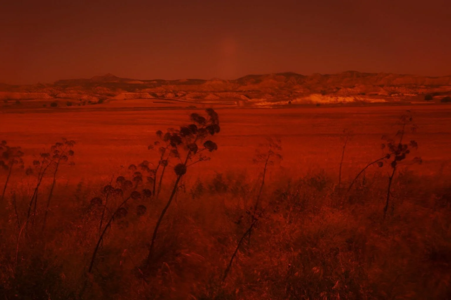 Exposición “Montes Negro’s Eden” de Noemí Rodrigo Sabio