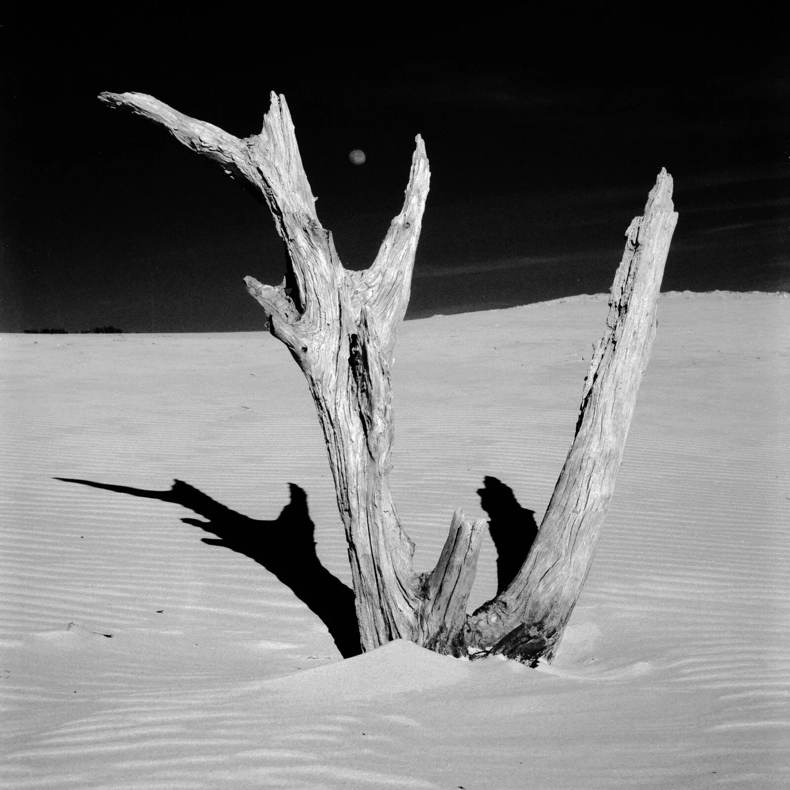 Mis 5 mejores… Fotos de la escapada a Bolonia