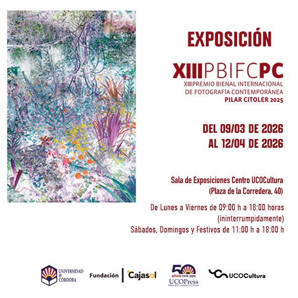 Exposición «XIII Premio Pilar Citoler» 