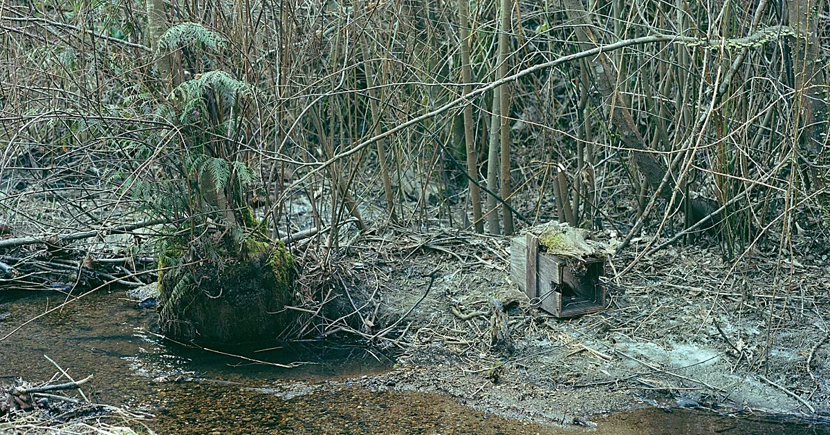 Exposición ‘Rehearsing Reality: Constructing the Present’, de Jeff Wall&nbsp;e&nbsp;Ian Wallace.