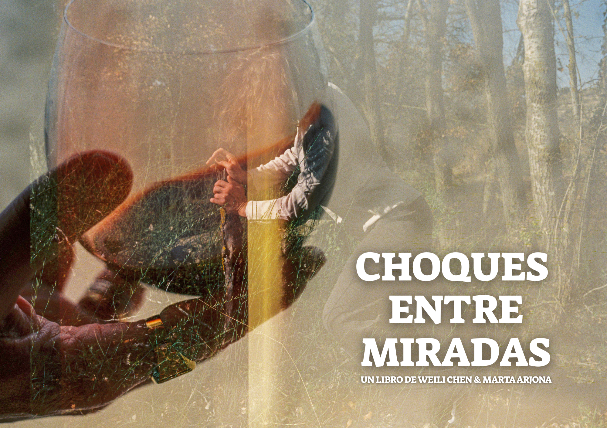 “Choques entre miradas”, cuando el azar revela nuevas formas de mirar