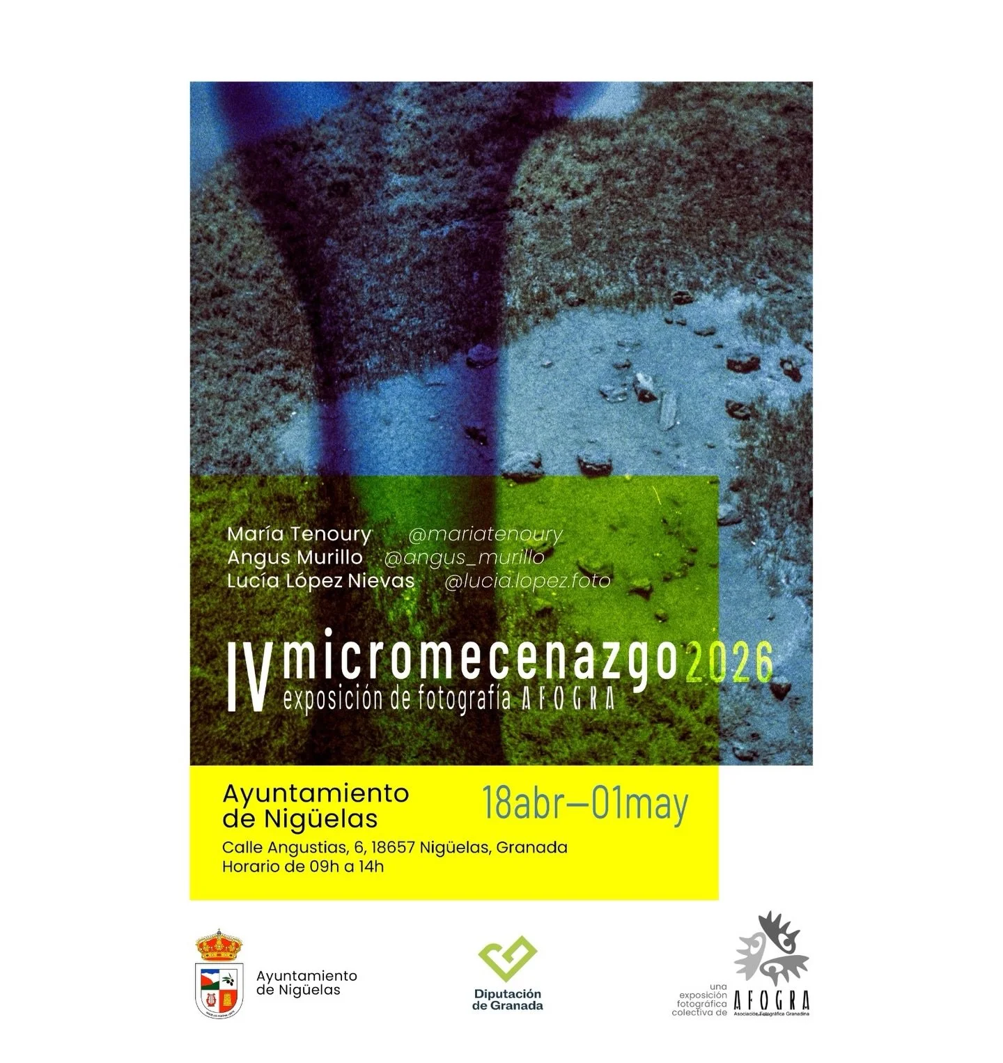 Exposición “IV Micromecenazgo 2026 de Afogra”