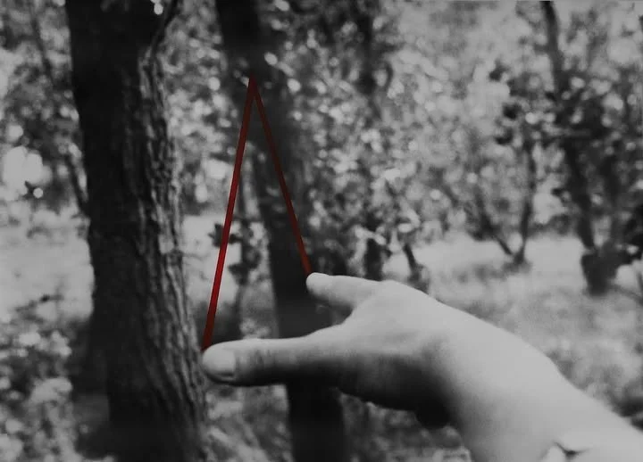 Exposición 'In Focus: Contemporary Photography Revisited'. Colectiva