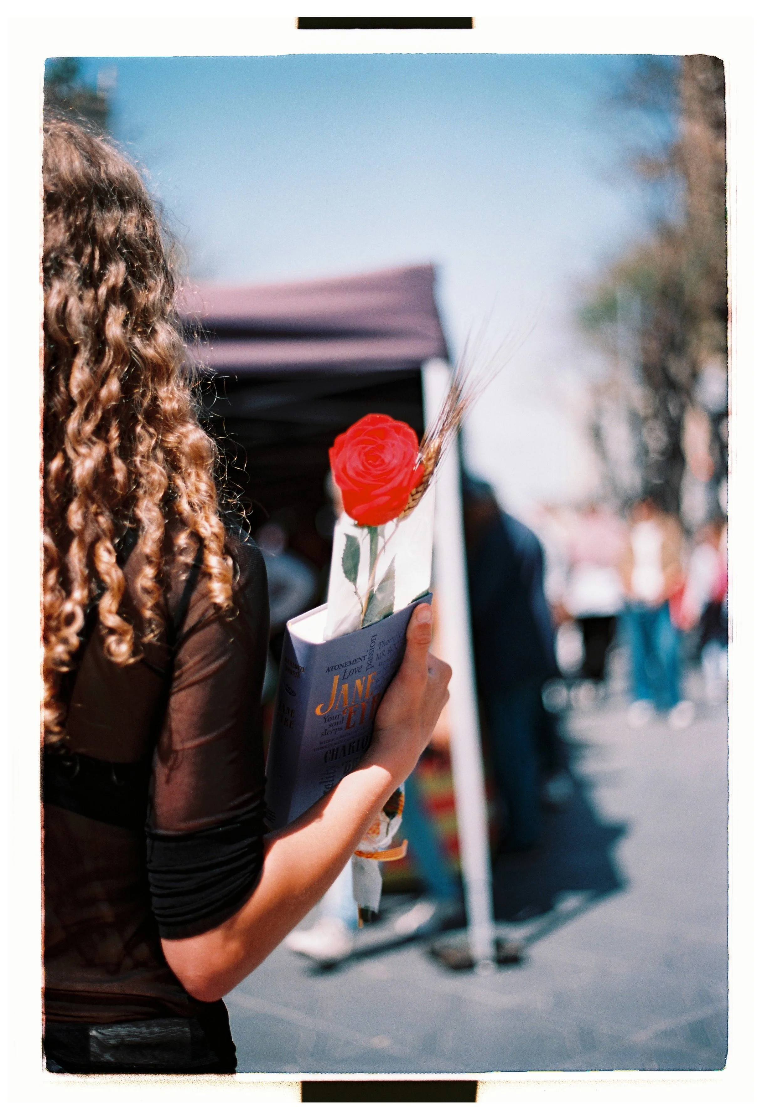 Sant Jordi en analógico