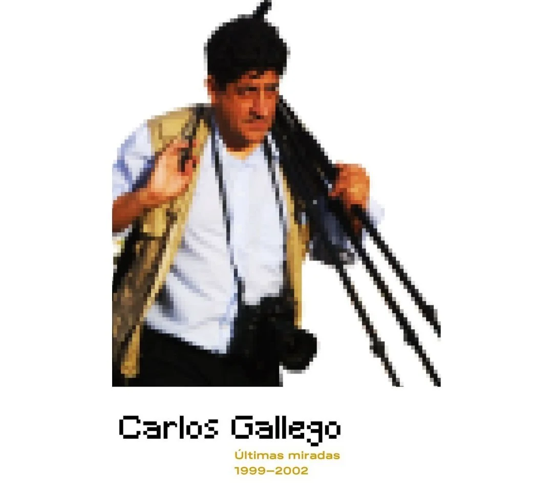 Exposición “Carlos Gallego: últimas miradas”