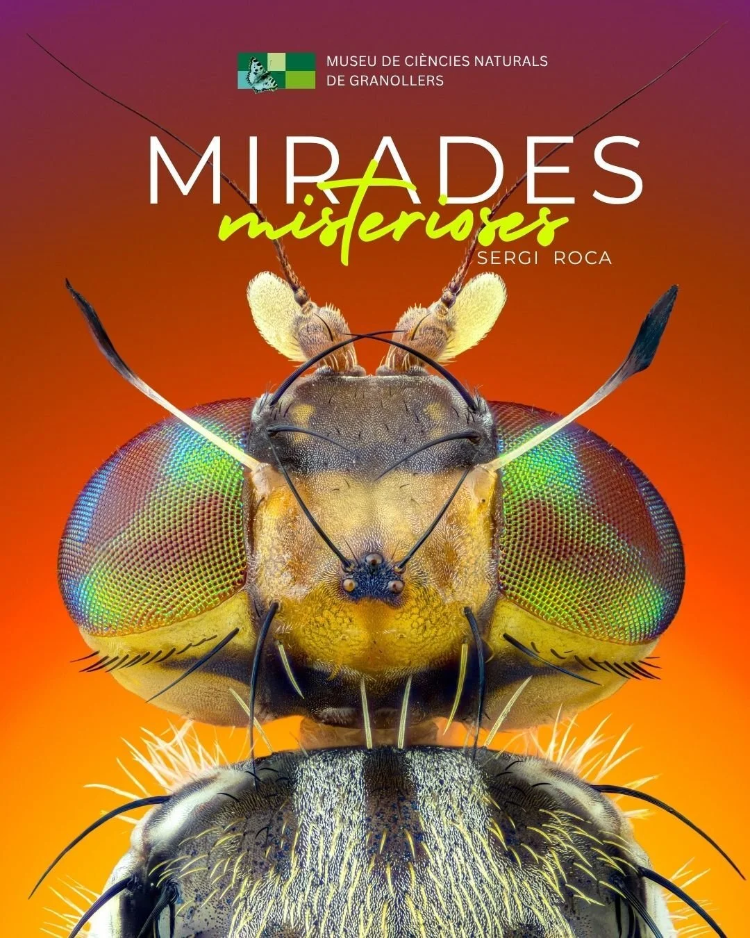 Exposición ‘Miradas misteriosas’, de Sergi Roca