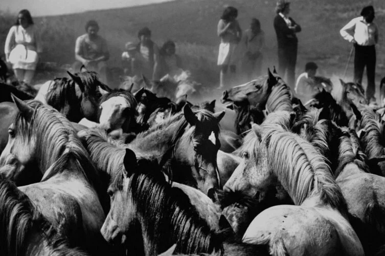 Presentación libro “Caballos, hombres y mitos” de Pedro Coll