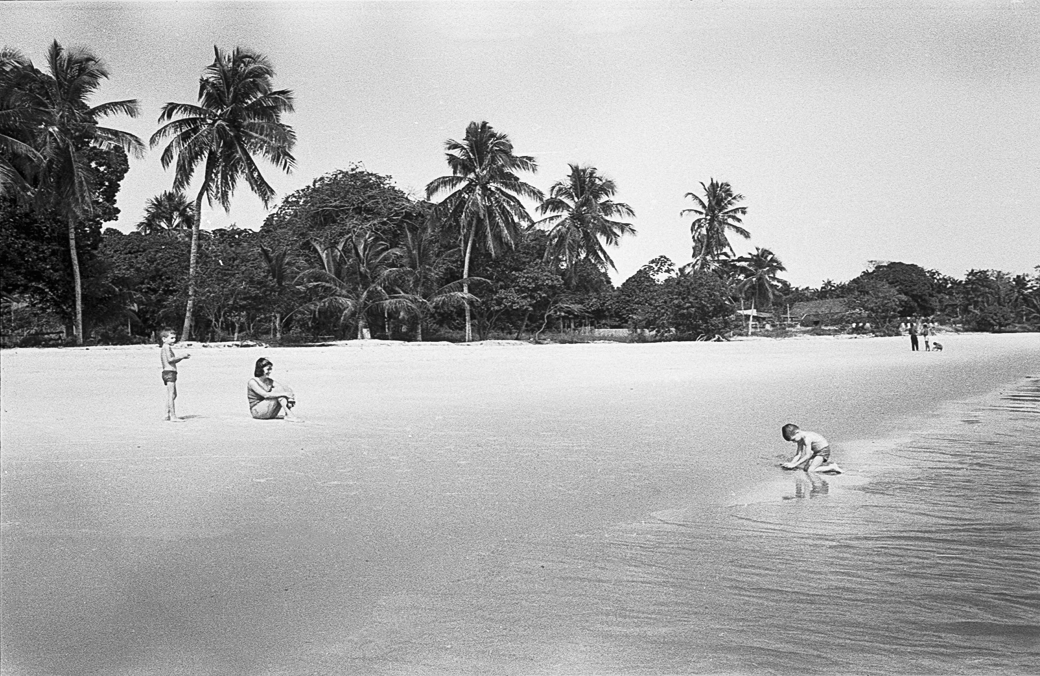 El negativo hallado en un bote Kodak