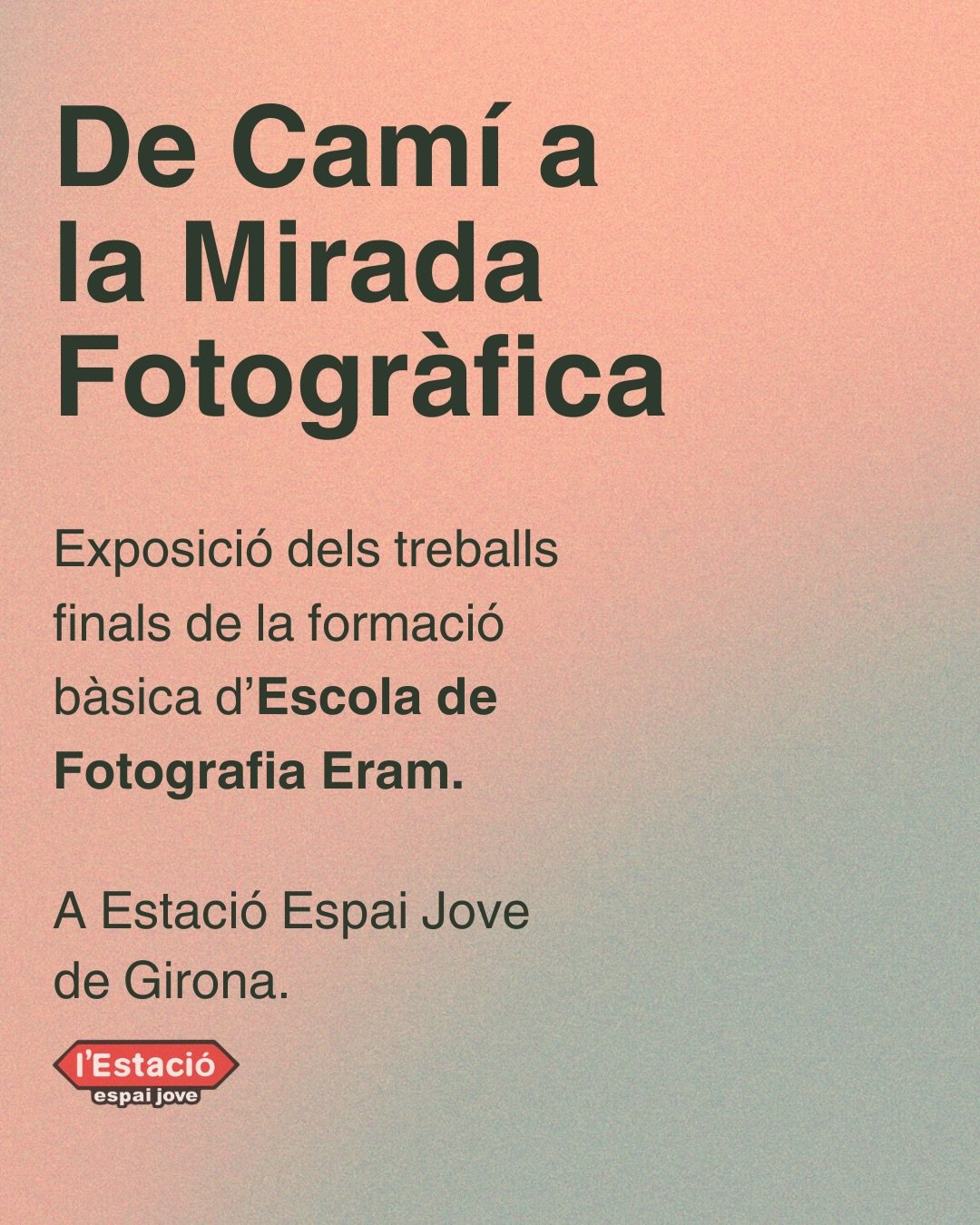 Exposición “De camino a la mirada fotográfica”, Colectiva