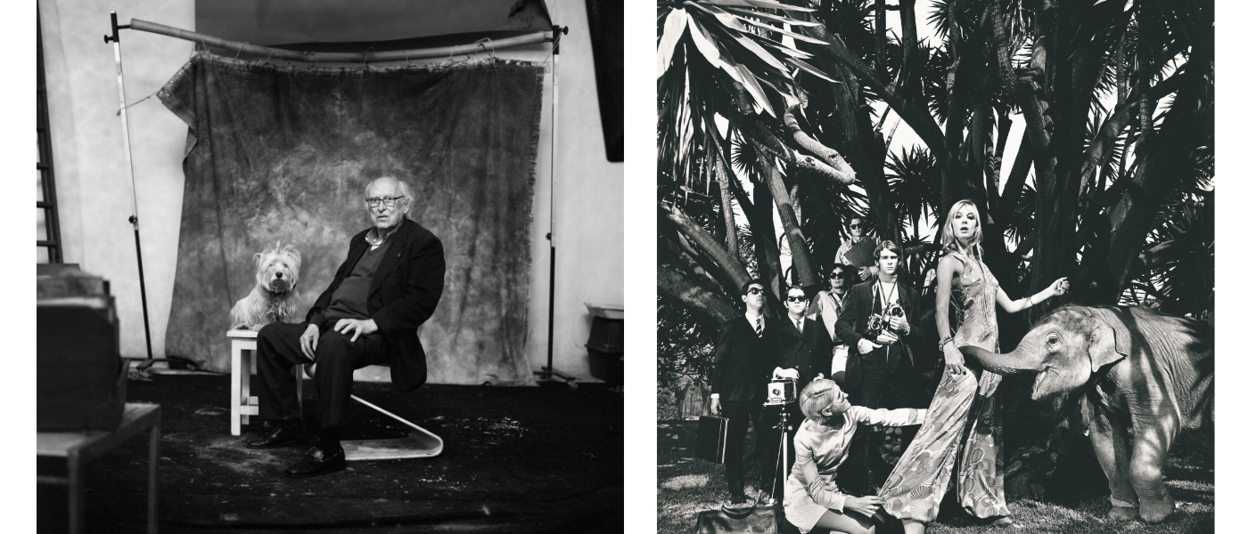 Exposición ‘Estela de Castro. En diálogo‘