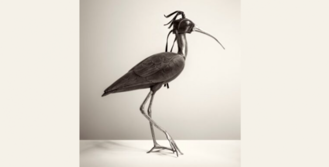 Exposición “Manual de un distraído”,&nbsp;Chema Madoz