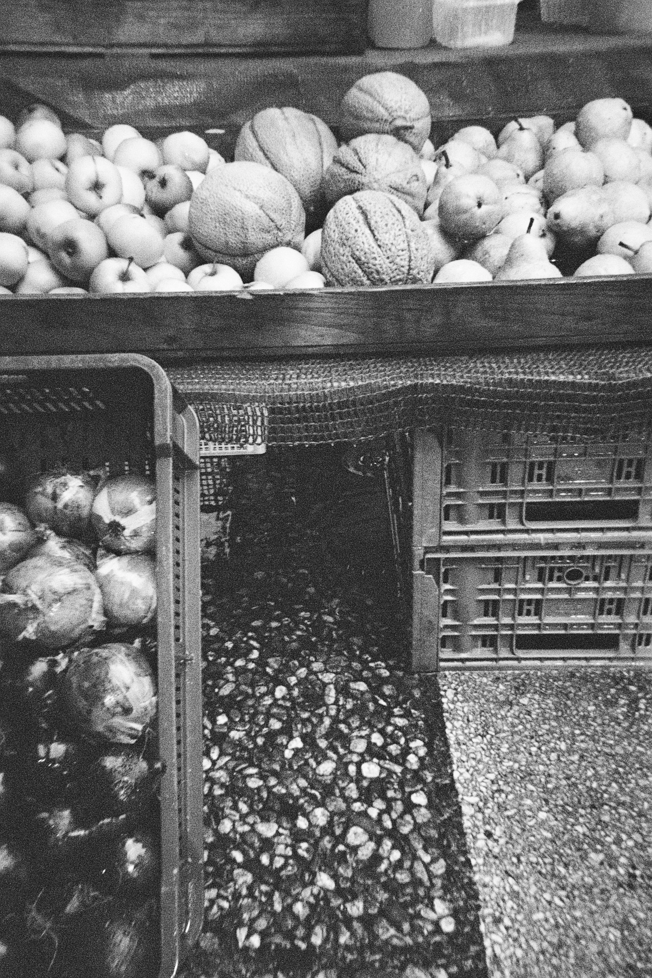 (JPG) QS Sample images_QuickSnap Black and White_from brand movie_41.jpg