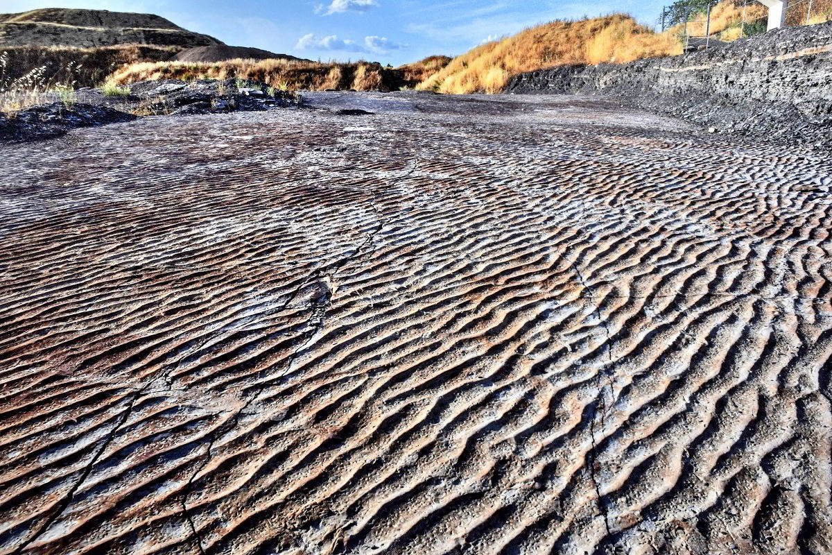 Exposición ‘La huella del carbonífero en Puertollano’, de Pilar García Manzanares