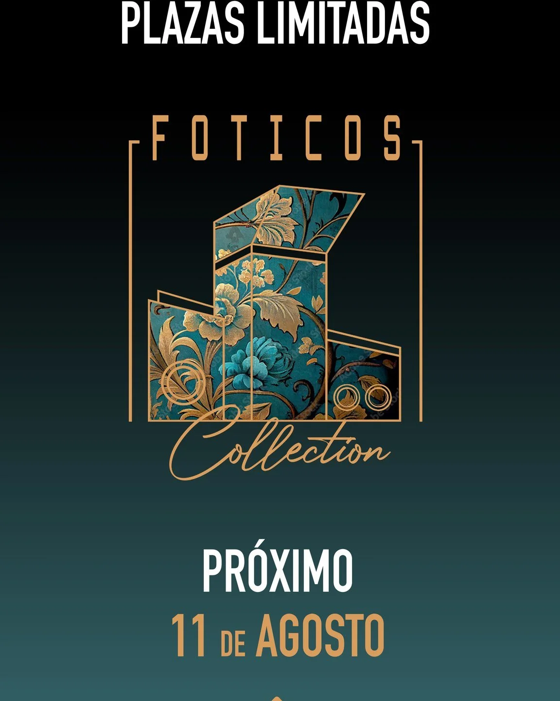 Visita guiada a Foticos Collection