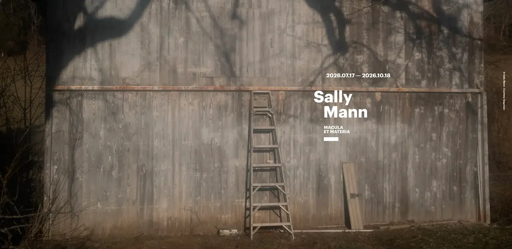 Exposición "Sally Mann. Macula et Materia”