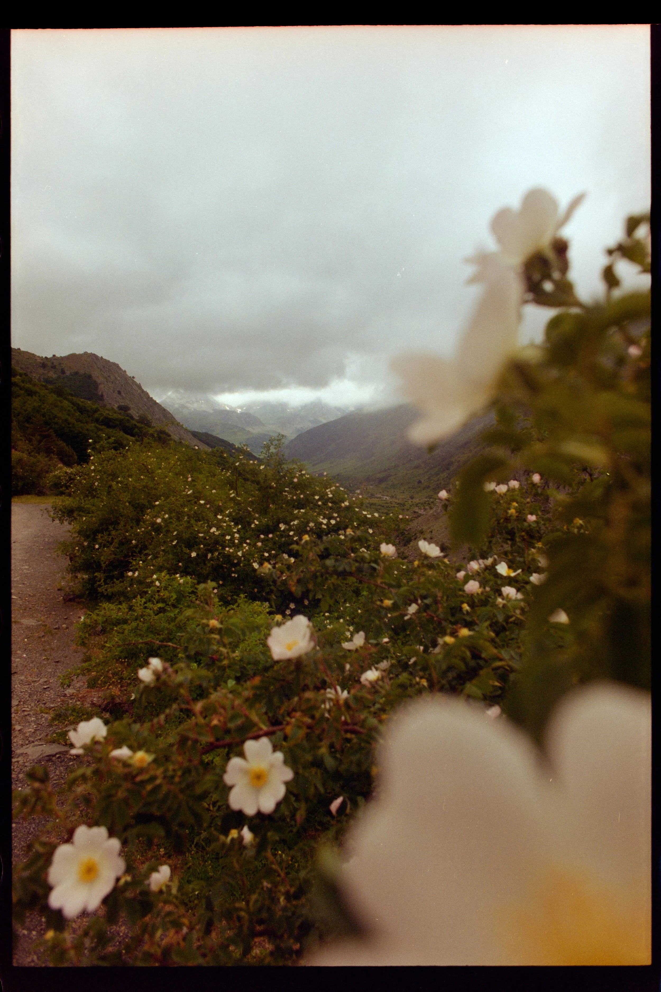 Capture00839.jpg