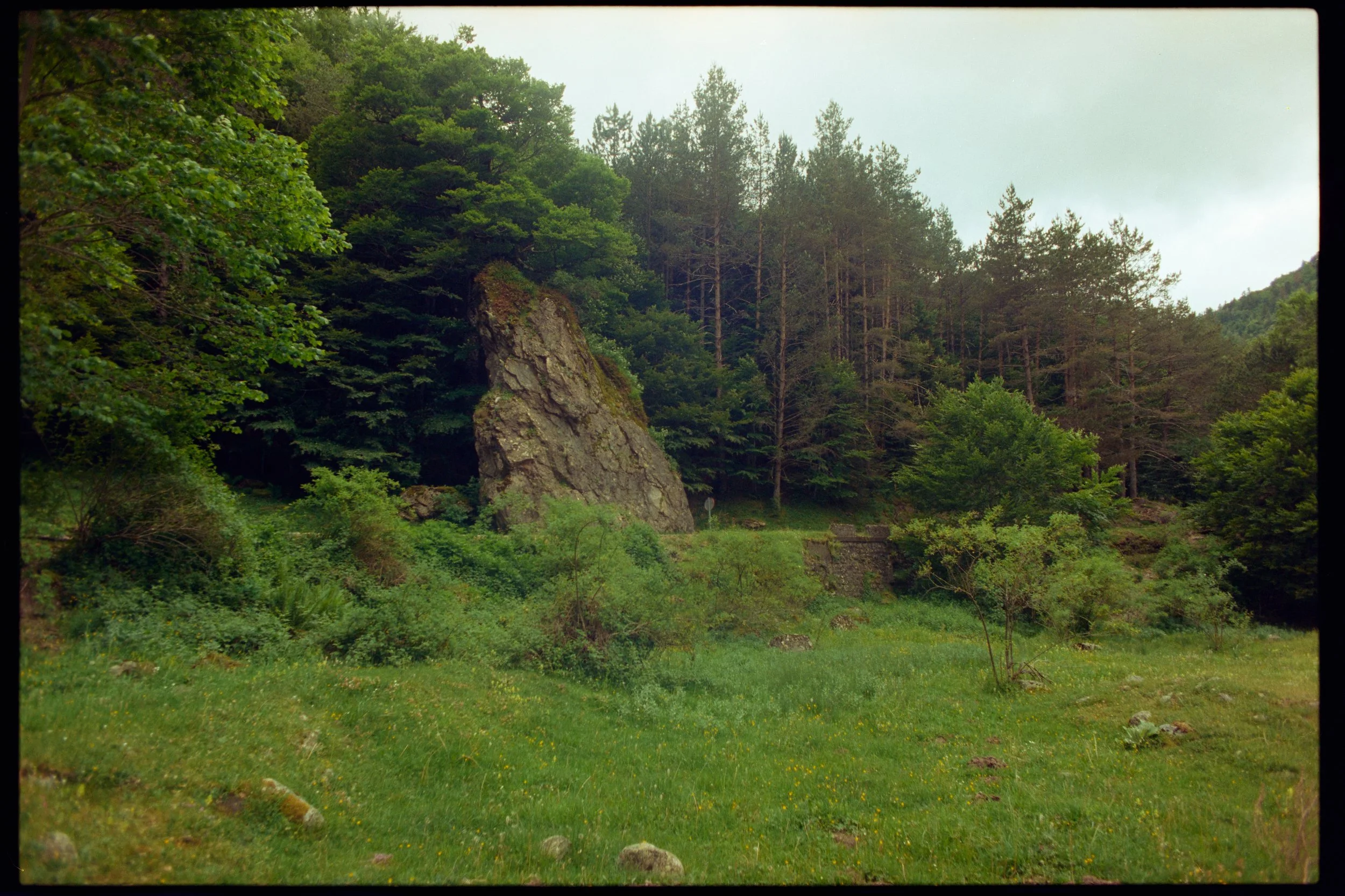 Capture00840.jpg