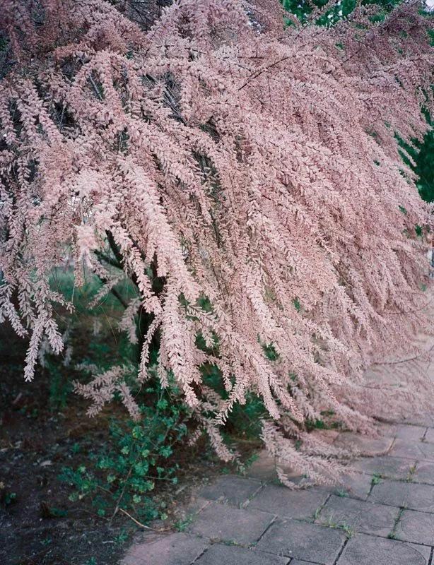 Exposición “Mundare” de Cristina Santa Quiteria