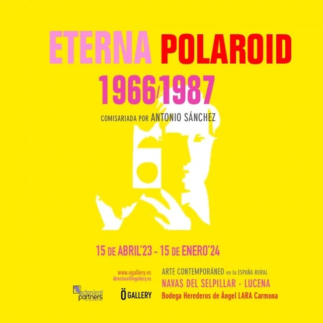 Exposición ‘Eterna Polaroid (1966/1987)’