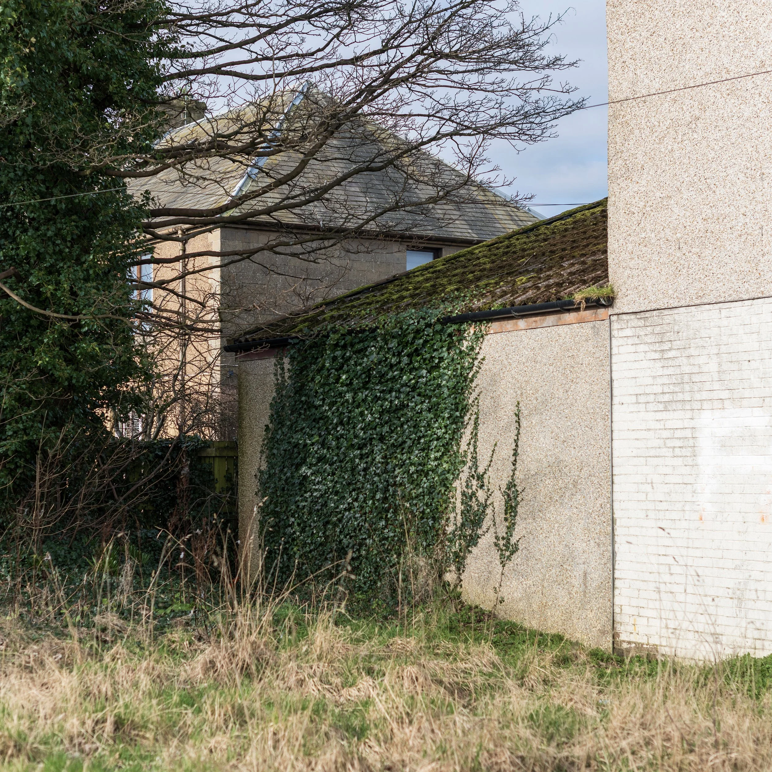 Alicia_Bruce_Livingston_Green_Wall.jpg