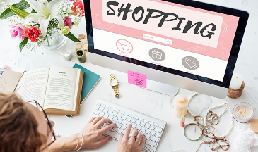 Single-Store Shopify Brands