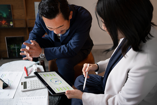 Revenue Recognition Services