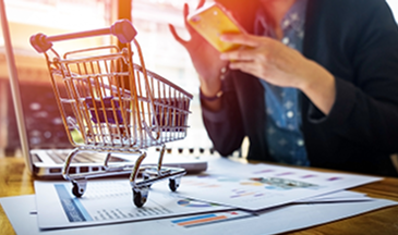 Ecommerce Brands