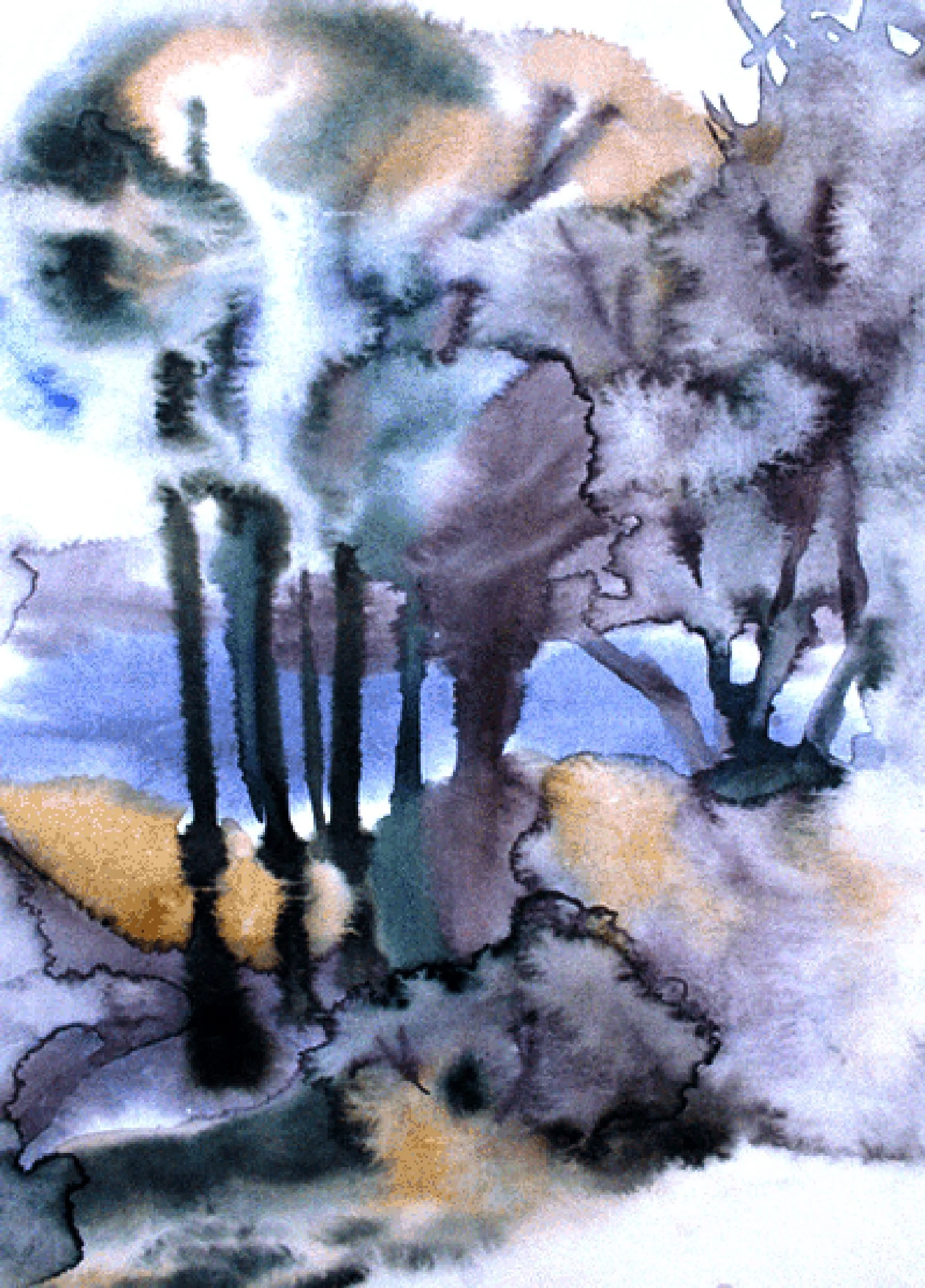 af808c22819705AA.jpg