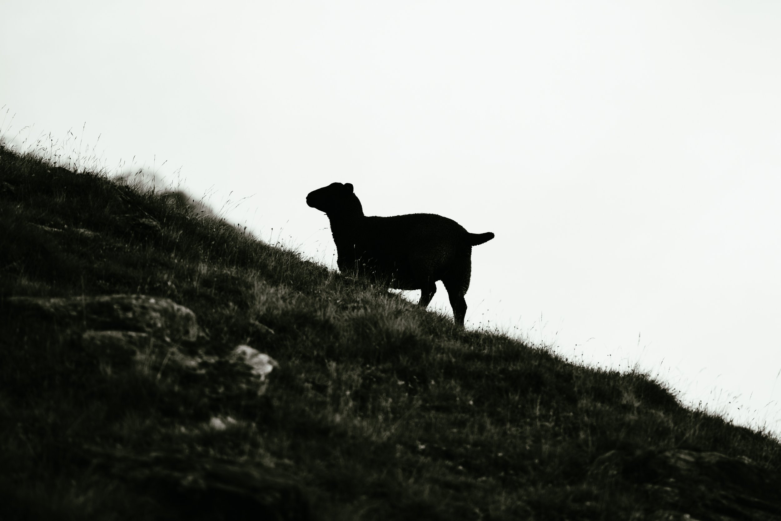 26. August 2023_Mischabelhütte Johan_038.jpg