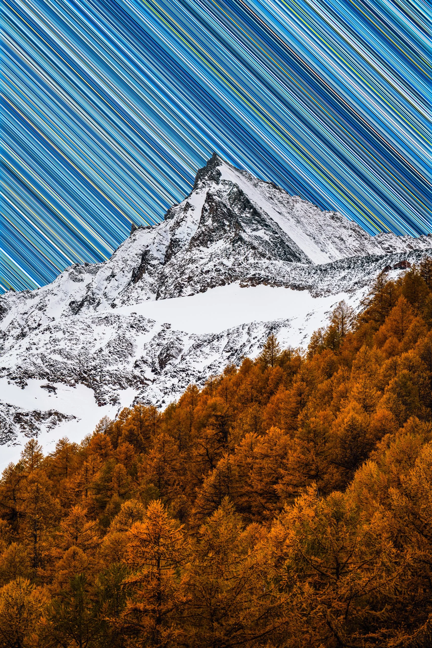 Star Trails Over Lenzspitze with Golden Trees