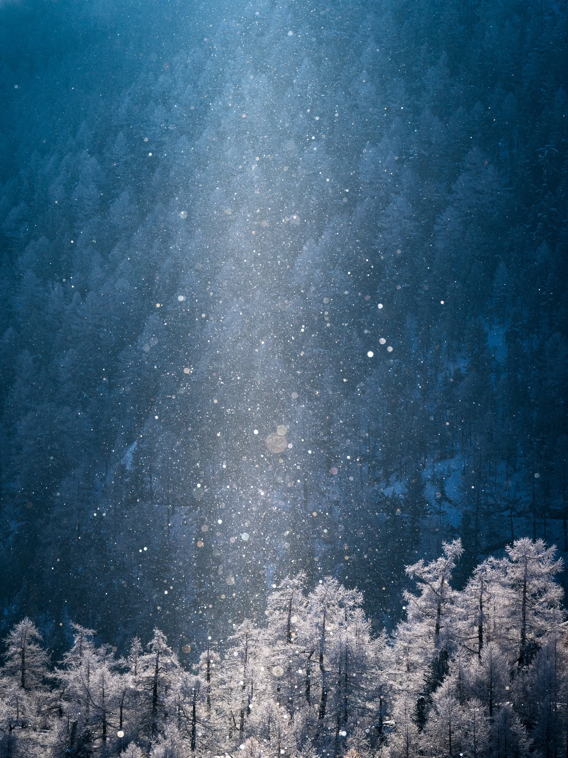 Winter Magic