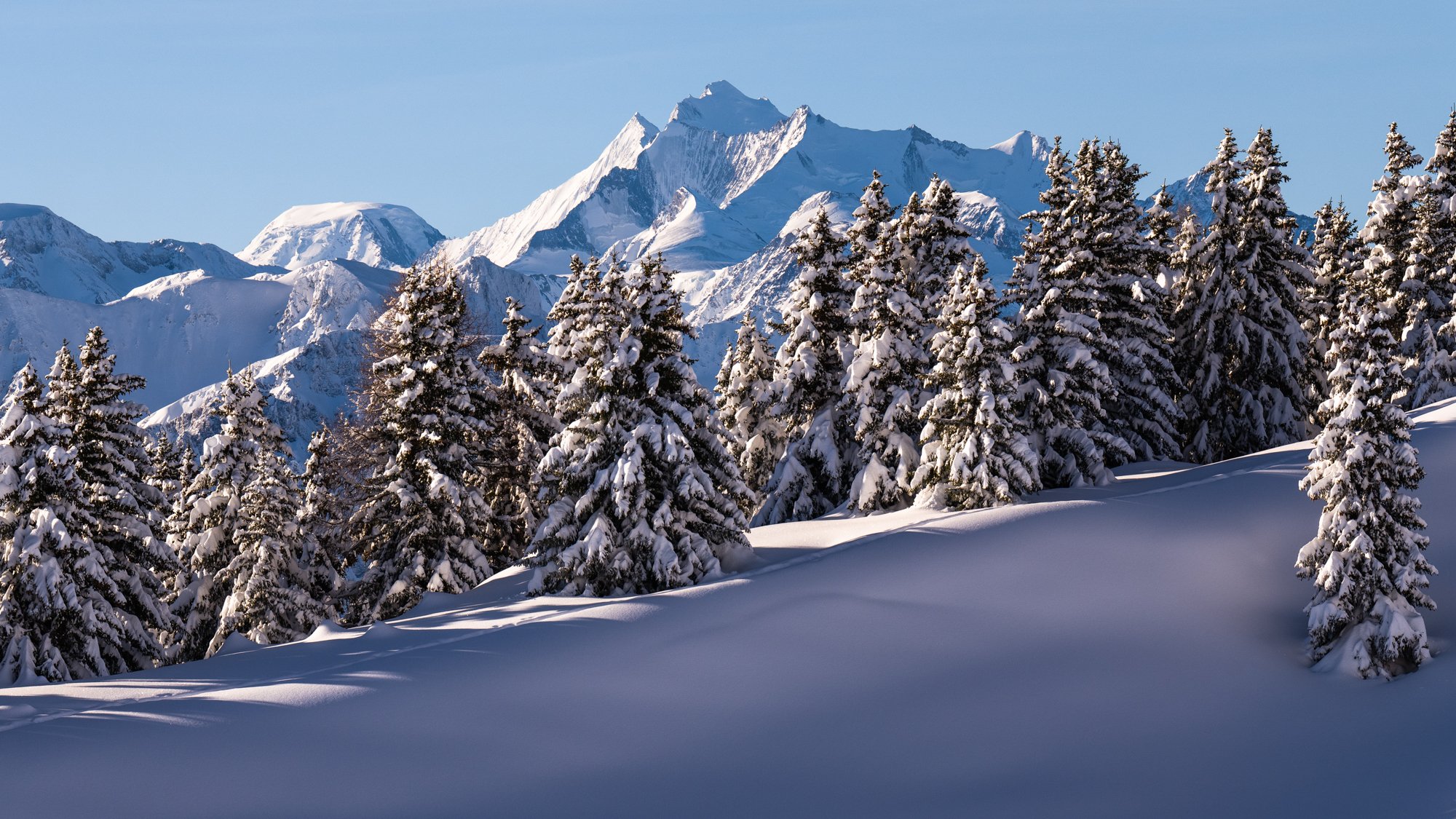 Winter Wonderland