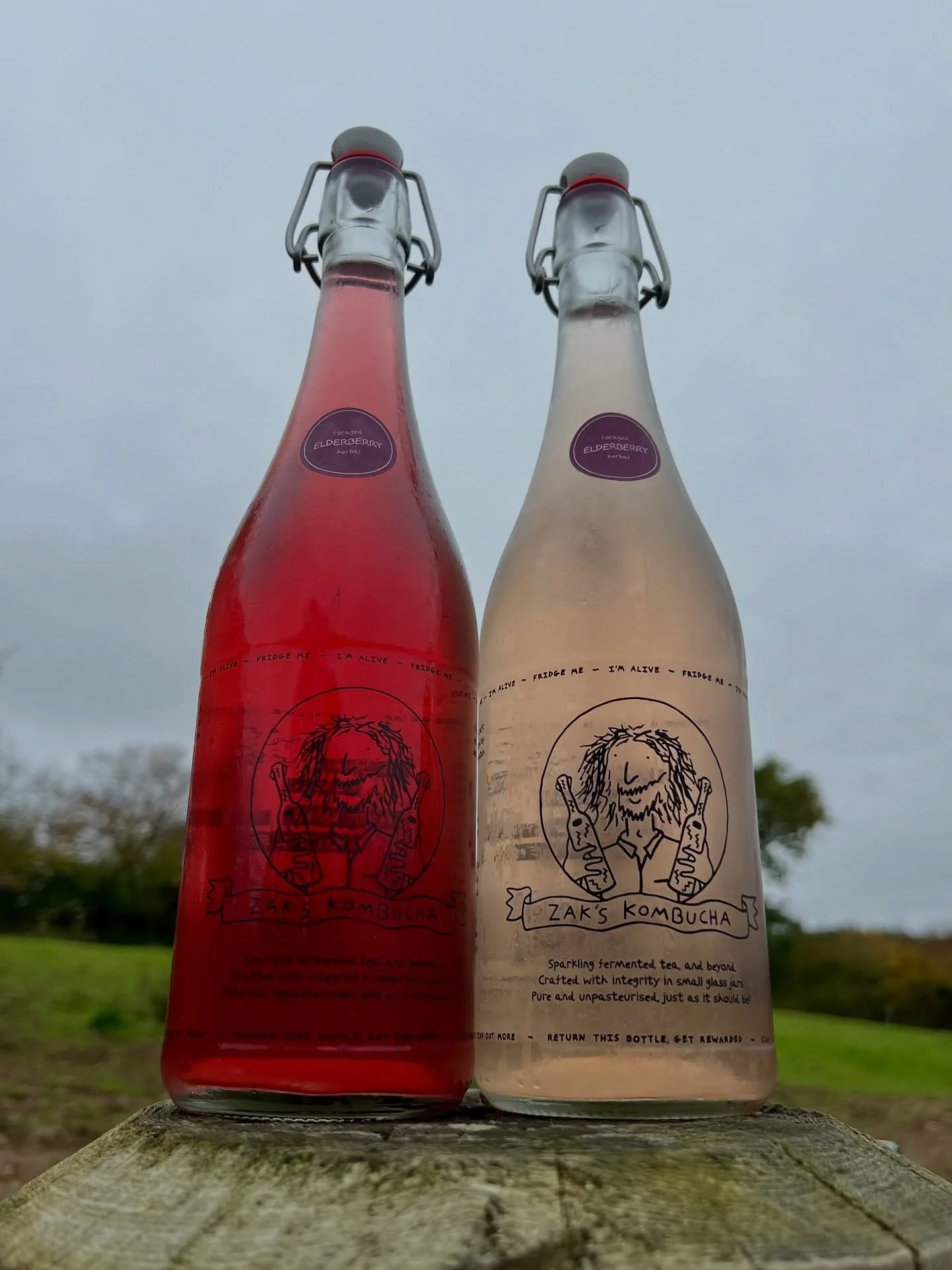 Same ingredients, same recipe, same great taste, yet different colour⁉️
If you’ve been enjoying the Elderberry kombucha this autumn, you may have noticed that this second batch is vastly different in colour and maybe you wondered “why?!&