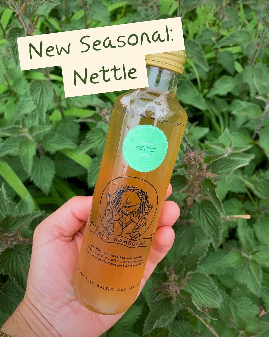 Capturing some of the last moments of spring as we say goodbye to magnolia (until next year, old friend 💗)!

As our magnolia stores begin to run dry (gone in record time. you guys loved it THAT much!), it&rsquo;s time to introduce our newest seasona