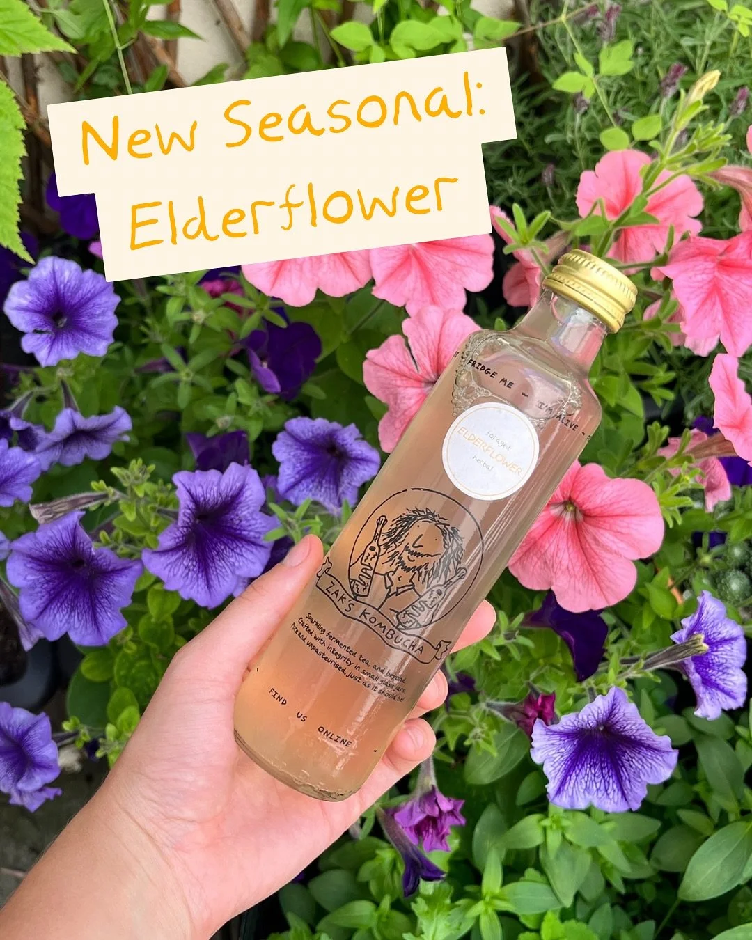 🌼ELDERFLOWER KOMBUCHA🌼

You may already know about our most recent seasonal flavour, but if you don&rsquo;t&hellip;allow me to introduce my Elderflower kombucha! 
Admittedly, I&rsquo;m a bit behind on announcing this one!😅 

It has however gone do